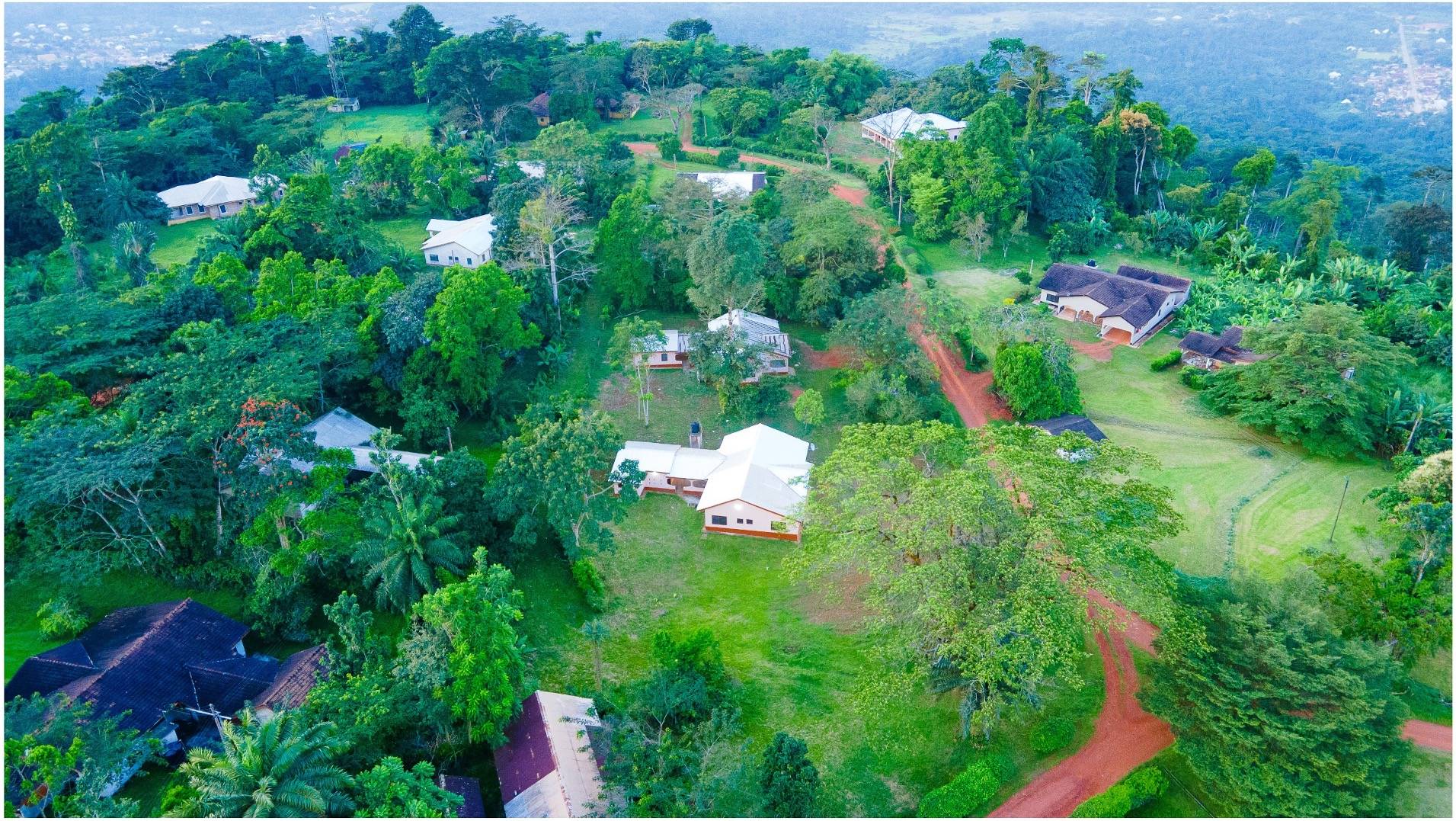 Rehabilitation work at Awaso